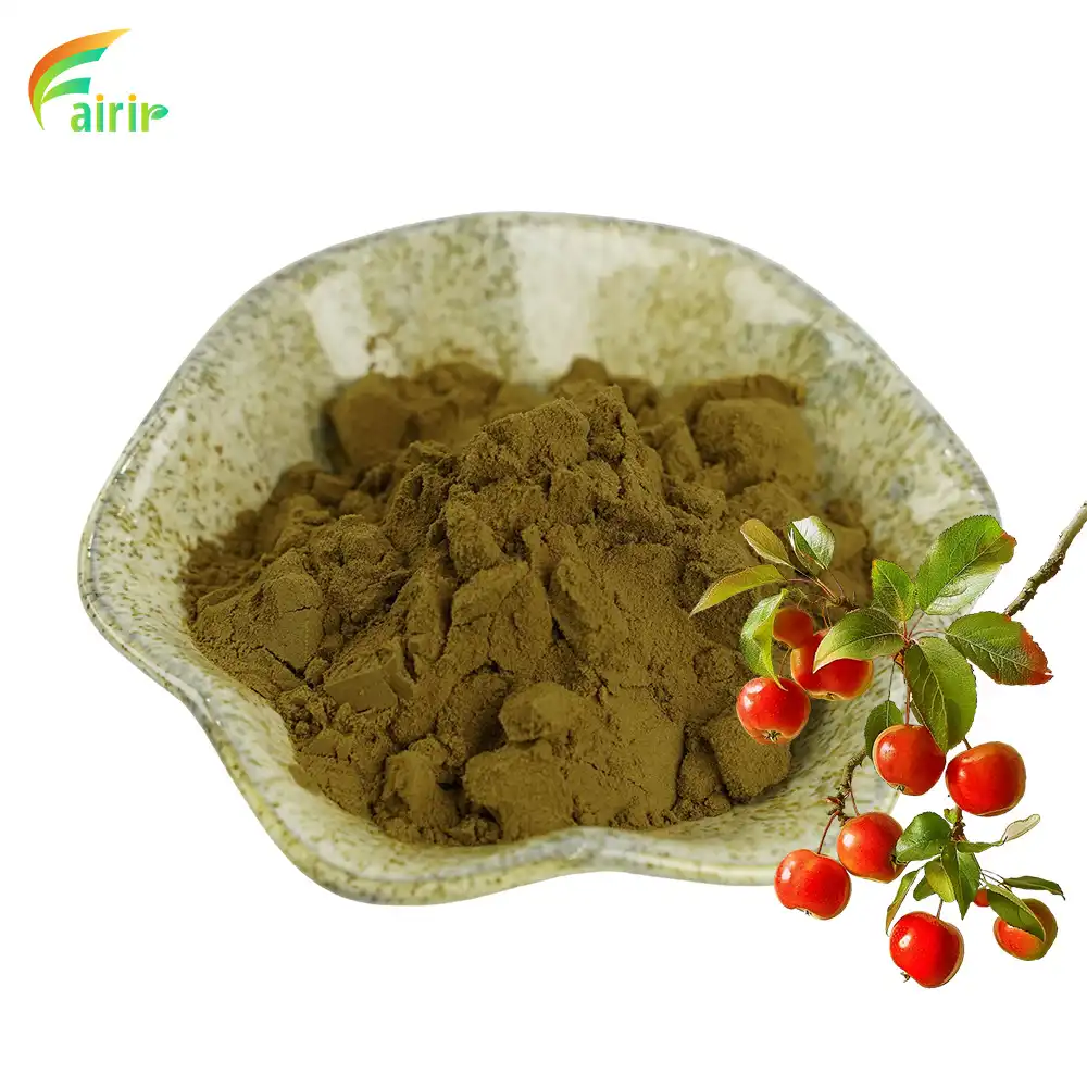 Taxus Branch Extract Powder Taxus Branch Extract Powder
